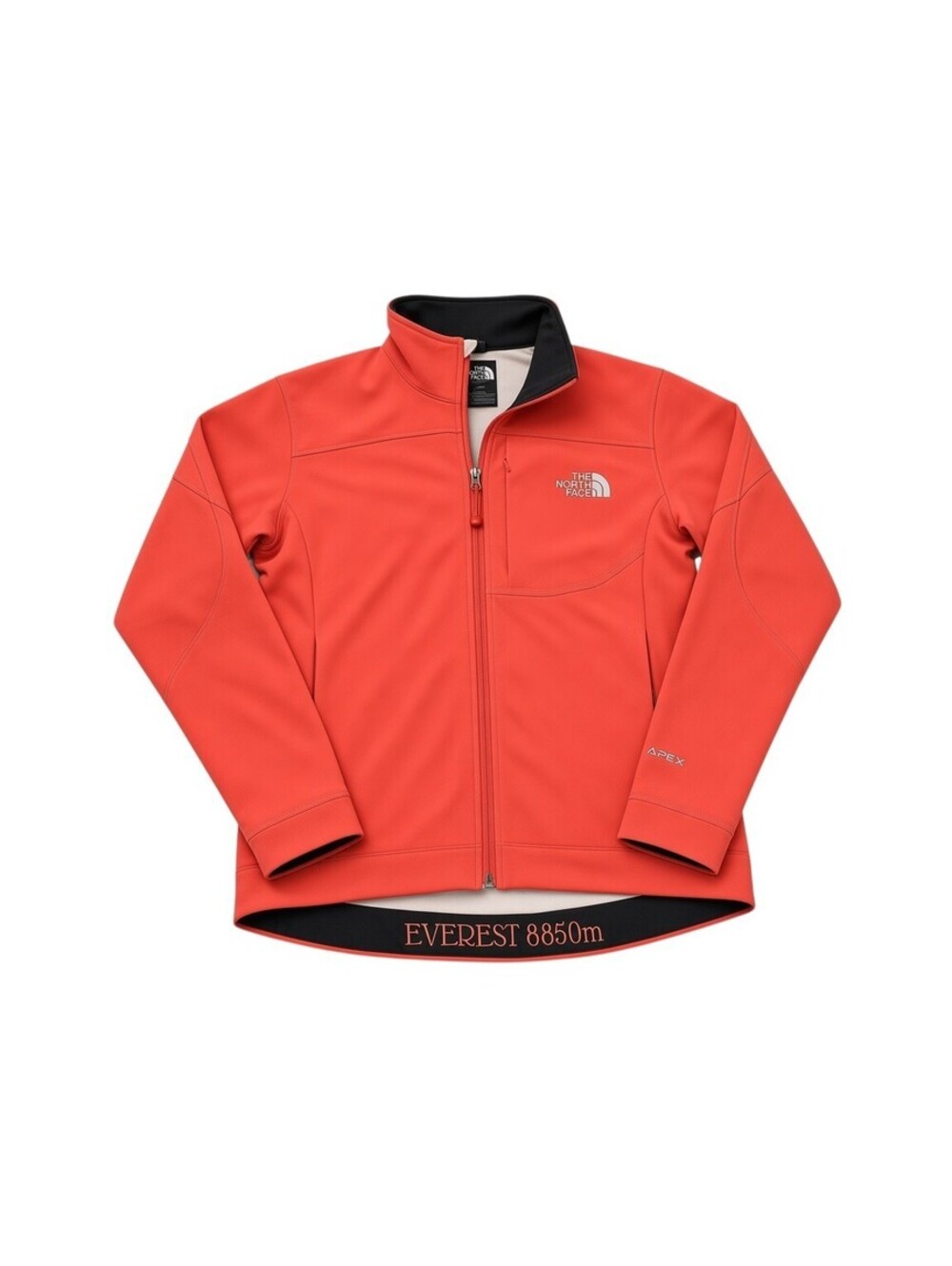 The North Face 2006 Everest 8850m Apex Jacket Women P-S Rare